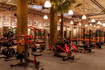 Bild 4 von Gold's Gym Jena Partnergalerie
