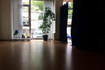 Bild 5 von IM FREIRAUM Partnergalerie