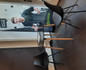 Bild 5 von fitbox Schwerin Markt Partnergalerie