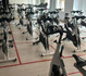 Imagen 5 de la galería del partner Venus Fitness 2