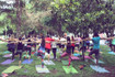 Imagen 5 de la galería del partner Mukti Yoga