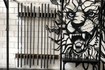 Imagem 8 da galeria do parceiro Crossfit Voraz