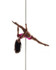 Bild 6 von Pole Dance Studio Rhein-Neckar Partnergalerie
