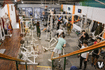 Imagen 3 de la galería del partner Urquiza vikings gym
