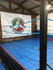 Imagem 3 da galeria do parceiro Jìnbù Escola de Artes Marciais