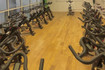 Image 3 from Everyone Active - Abbs Cross Health and Fitness partner gallery