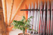 Imagem 4 da galeria do parceiro Surf's Up Club Itaguá