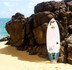 Imagem 4 da galeria do parceiro Surf's Up Club Longboard Paradise
