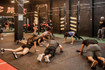 Imagen 3 de la galería del partner The Bronx Cross Training