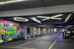 Imagen 1 de la galería del partner Black Condesa Functional Training