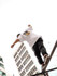 Imagen 4 de la galería del partner Wukong Parkour Point
