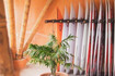 Imagem 4 da galeria do parceiro Surf's Up Club Itaguaré