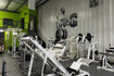 Imagen 9 de la galería del partner ERA FIT APODACA