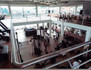 Imagem 5 da galeria do parceiro Academia Planeta Fitness 2
