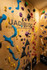 Imagen 3 de la galería del partner Uadibloc