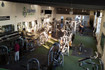 Imagen 4 de la galería del partner Club Fitness MX