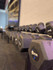 Imagem 5 da galeria do parceiro Royal Sports - Formiga