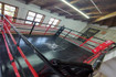 Imagen 3 de la galería del partner Box Arena Corregidora