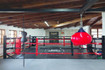Imagen 6 de la galería del partner Box Arena Corregidora