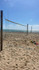 Imagem 1 da galeria do parceiro Cria Futevôlei - Praia da Piedade