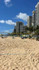Imagem 2 da galeria do parceiro Cria Futevôlei - Praia da Piedade