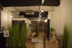 Imagen 3 de la galería del partner YogaOne Sant Boi