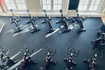 Bild 7 von Hafen Puls - Cycle Studio Partnergalerie