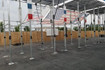 Image 3 from XS CrossFit partner gallery