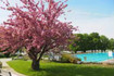 Bild 7 von Rosenbad Eltville Partnergalerie