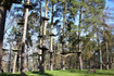 Bild 5 von Kletterwald am See Partnergalerie