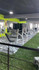 Imagen 4 de la galería del partner Gimnasio Estudiantes