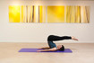Bild 5 von PilatesZeit Hannover Partnergalerie