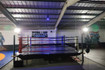 Imagem 3 da galeria do parceiro Gorillas Fight Club