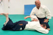 Immagine 3 dalla galleria del partner Accademia Aikido Scaligera Verona