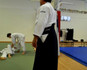 Immagine 4 dalla galleria del partner Accademia Aikido Scaligera Verona