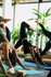 Bild 6 von Yogaladen Offenbach Partnergalerie