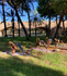 Imagen 1 de la galería del partner Martin Yoga - Aire libre