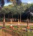 Imagen 5 de la galería del partner Martin Yoga - Aire libre