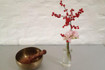 Bild 4 von Stefanie Wallace | SWYoga Partnergalerie