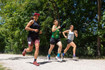 Bild 2 von Lauftreff Am Rombergpark Partnergalerie