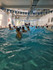 Imagen 1 de la galería del partner RedFit - FF Natación