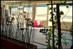 Bild 4 von FITNESS -Club Lifestyle Wißmar Partnergalerie