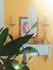 Bild 5 von Clari di Yoga Partnergalerie