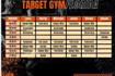 Imagen 3 de la galería del partner Target Gym - Florida