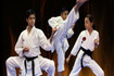Imagen 2 de la galería del partner Centro de Karate Tradicional