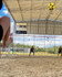 Imagem 1 da galeria do parceiro Complexo Praia Esportes e Eventos