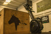 Imagen 3 de la galería del partner War Horse Box Training