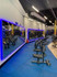Imagem 4 da galeria do parceiro Academia Bluefit - Fernando Correa