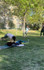 Imagen 2 de la galería del partner Real Functional Training - Parque del Tío Jorge.