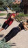 Imagen 4 de la galería del partner Real Functional Training - Parque José Antonio Labordeta / Rincón de Goya